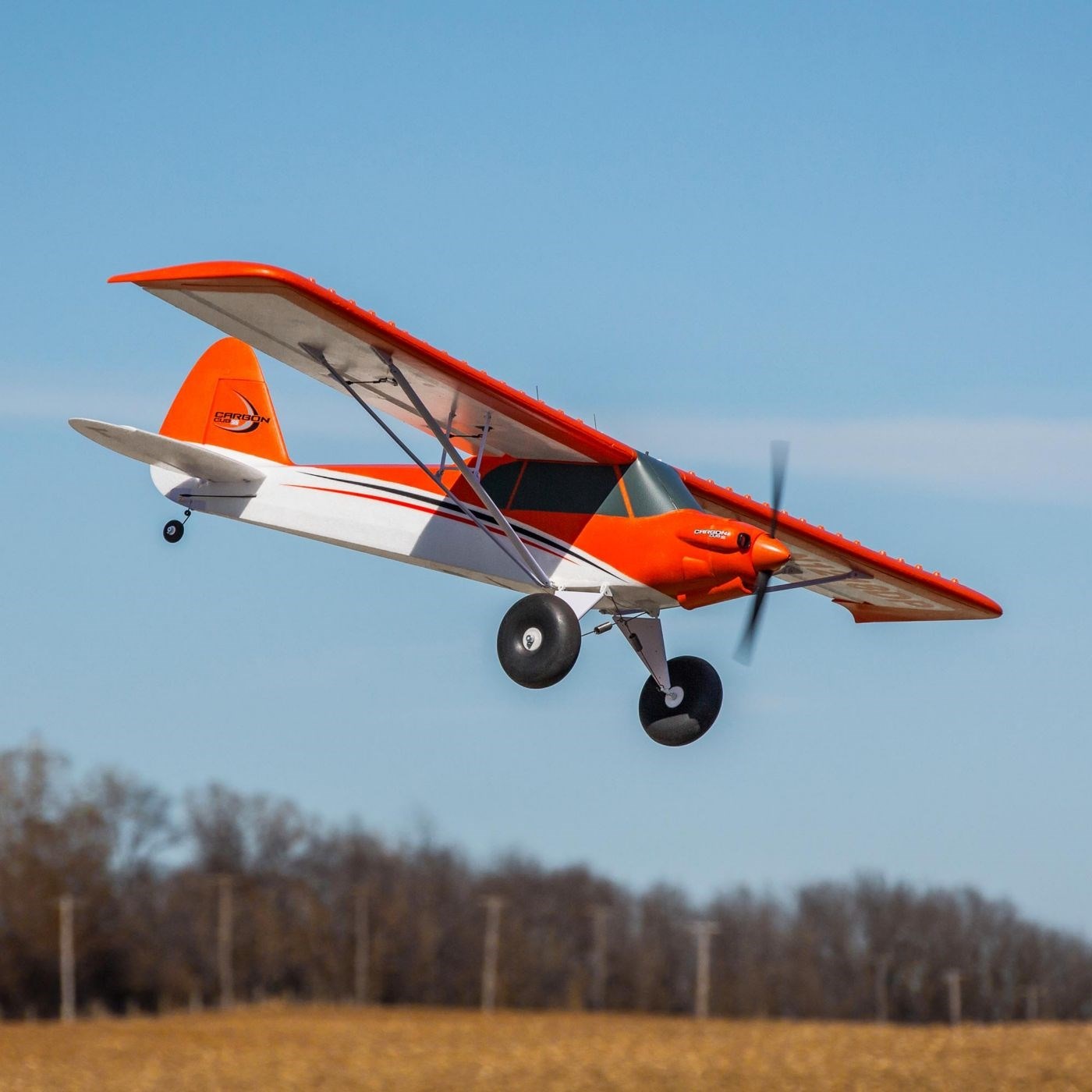 E-Flite Carbon-Z Cub