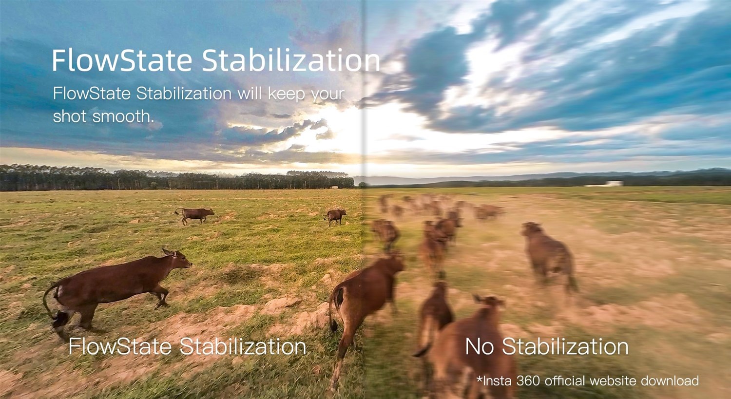 CaddX Peanut FPV Action Camera