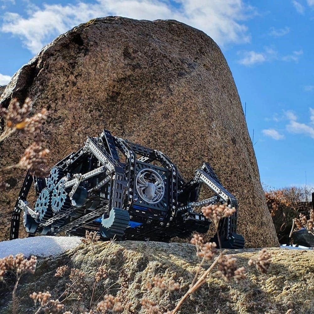 Totem Black Spider - Robotst