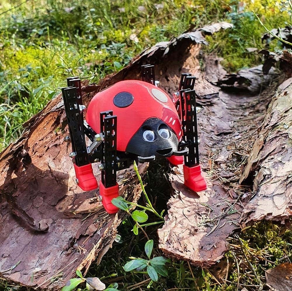 Totem Ladybug - Robots�t