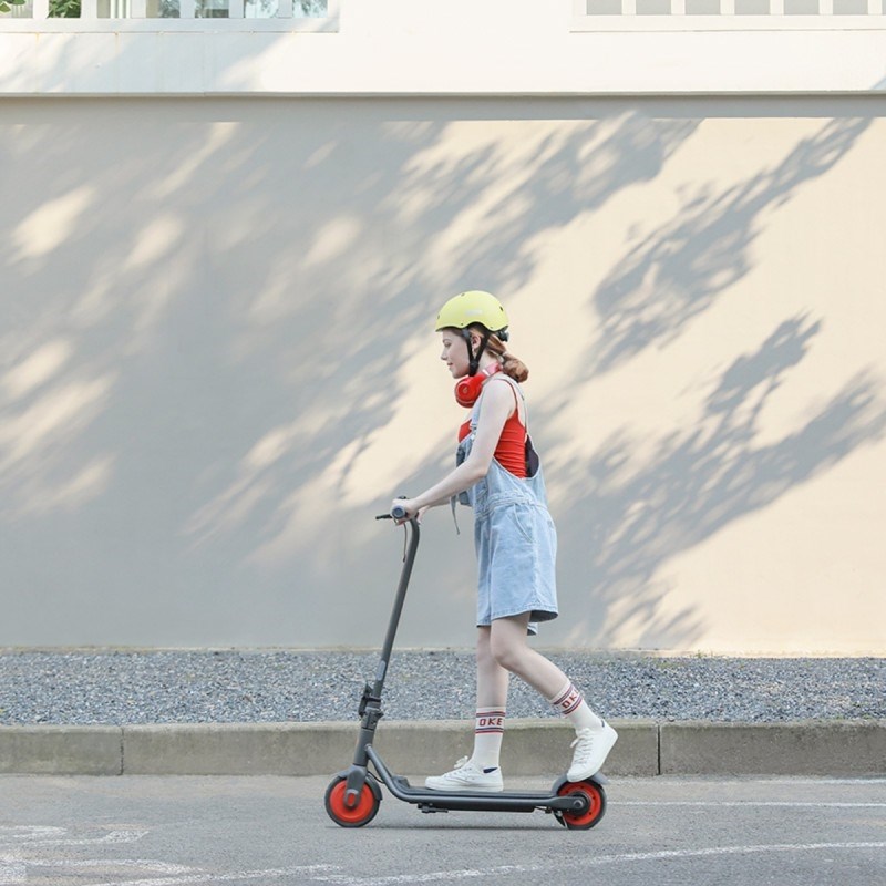 Ninebot Zing C20 - El-scooter