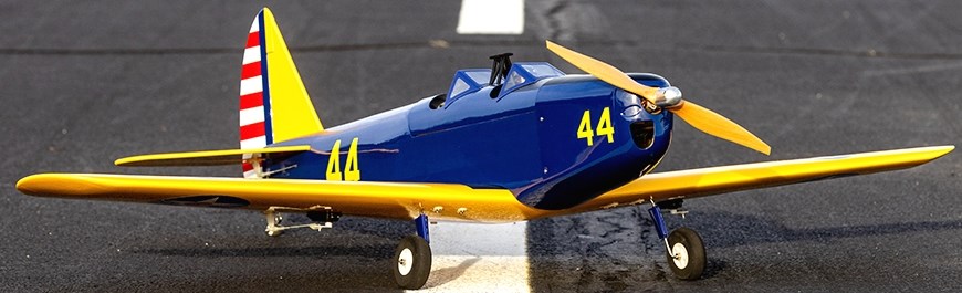 Hangar 9 Fun Scale PT-19 144cm PNP