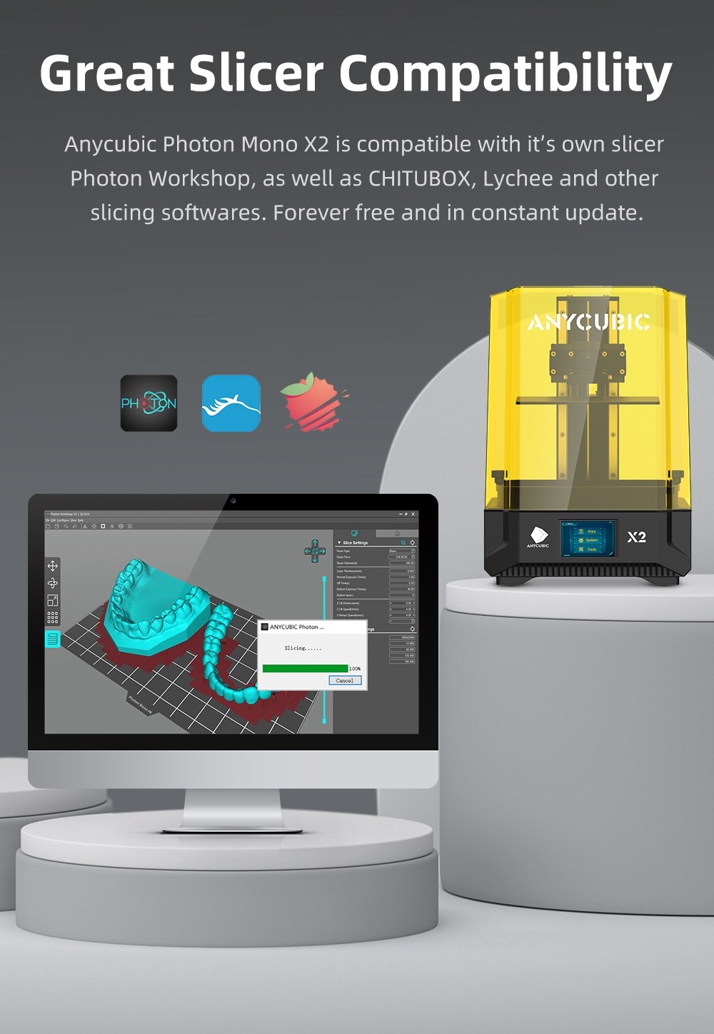 Anycubic Mono X2