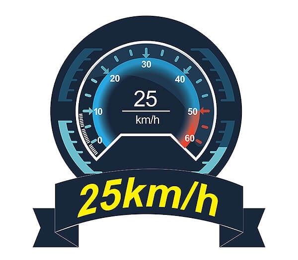 Joysway Smart Cat - 25 km/t - 2.4G RTR