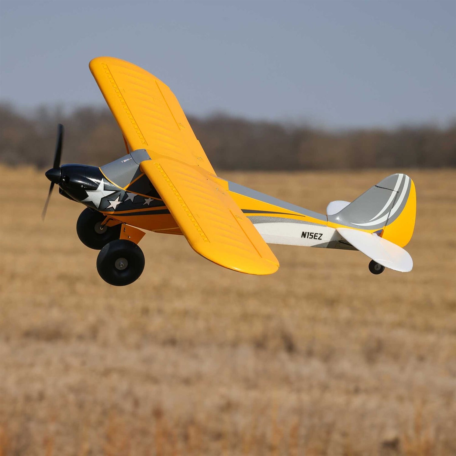 Carbon Cub S 2 1.3 m McFarland BNF Basic