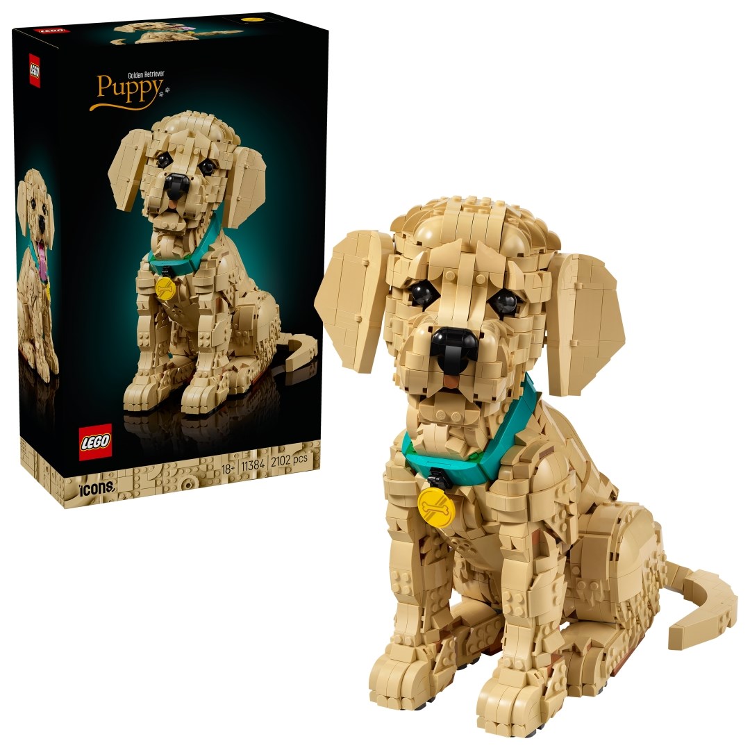 LEGO Icons Golden retriever-valp