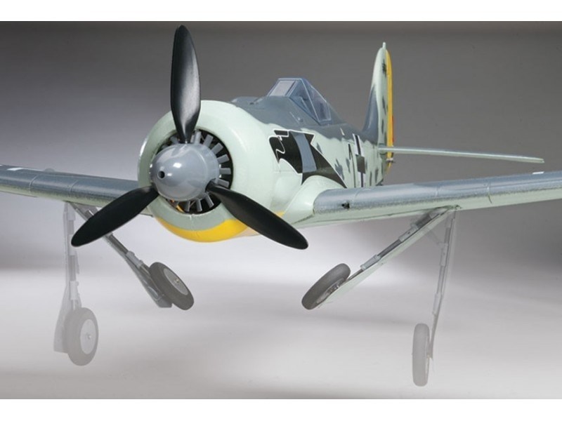 STM FW190